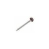 plastic head nail brown