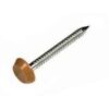 plastic head nails tan