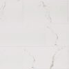 Cararra Marble. Topview